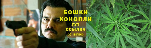 мдпв Касимов