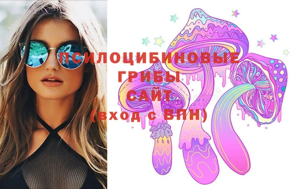 мдпв Касимов