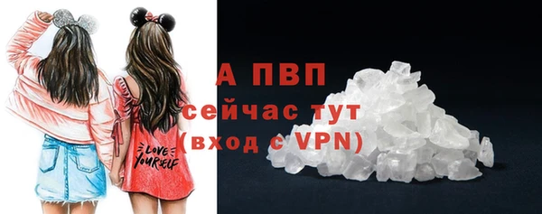 PSILOCYBIN Карпинск