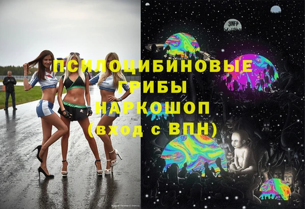 PSILOCYBIN Карпинск