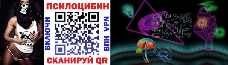 Купить закладки  Нея  Псилоцибиновые грибы мицелий 